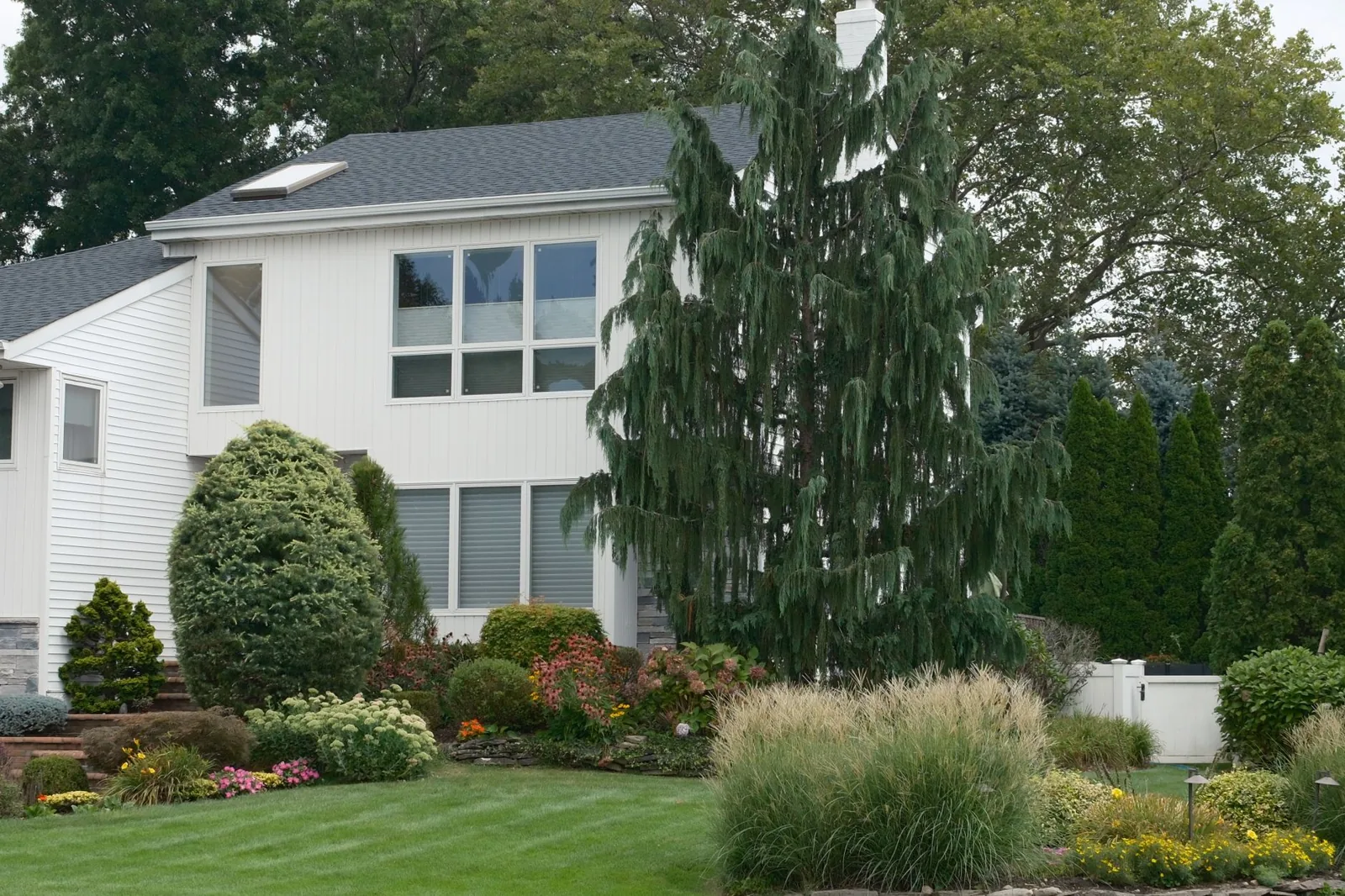 best curb appeal plants and bushes