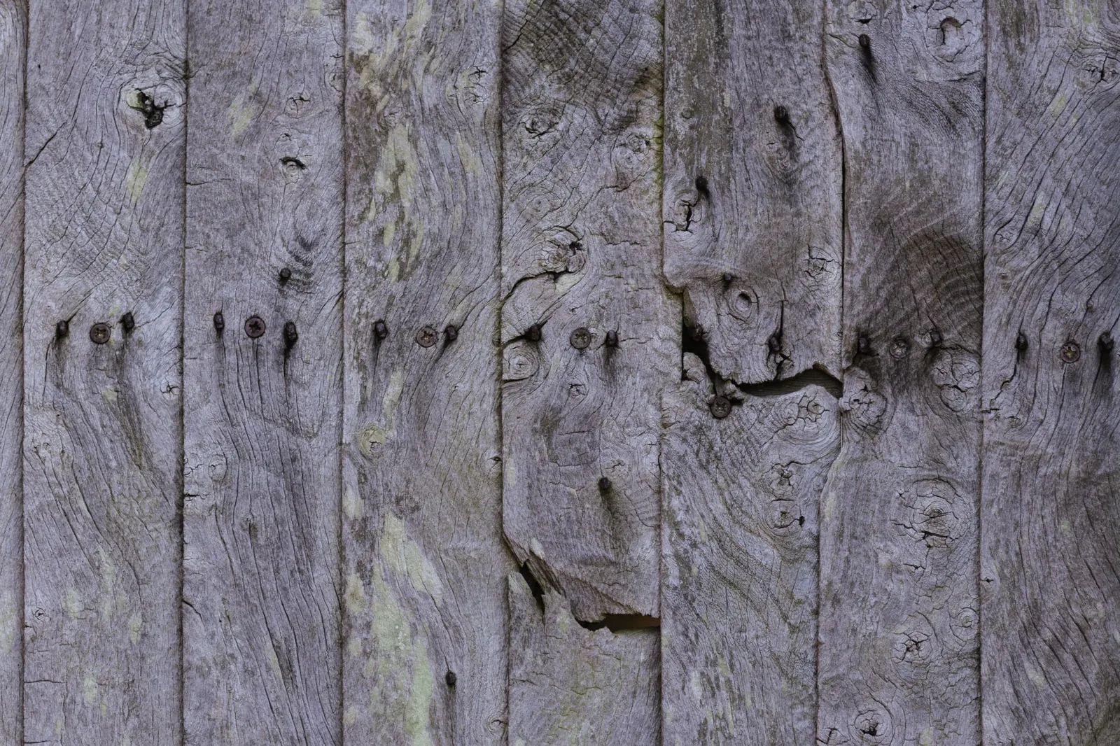 Weathered vertical boards and battens show the rustic texture the style is known for