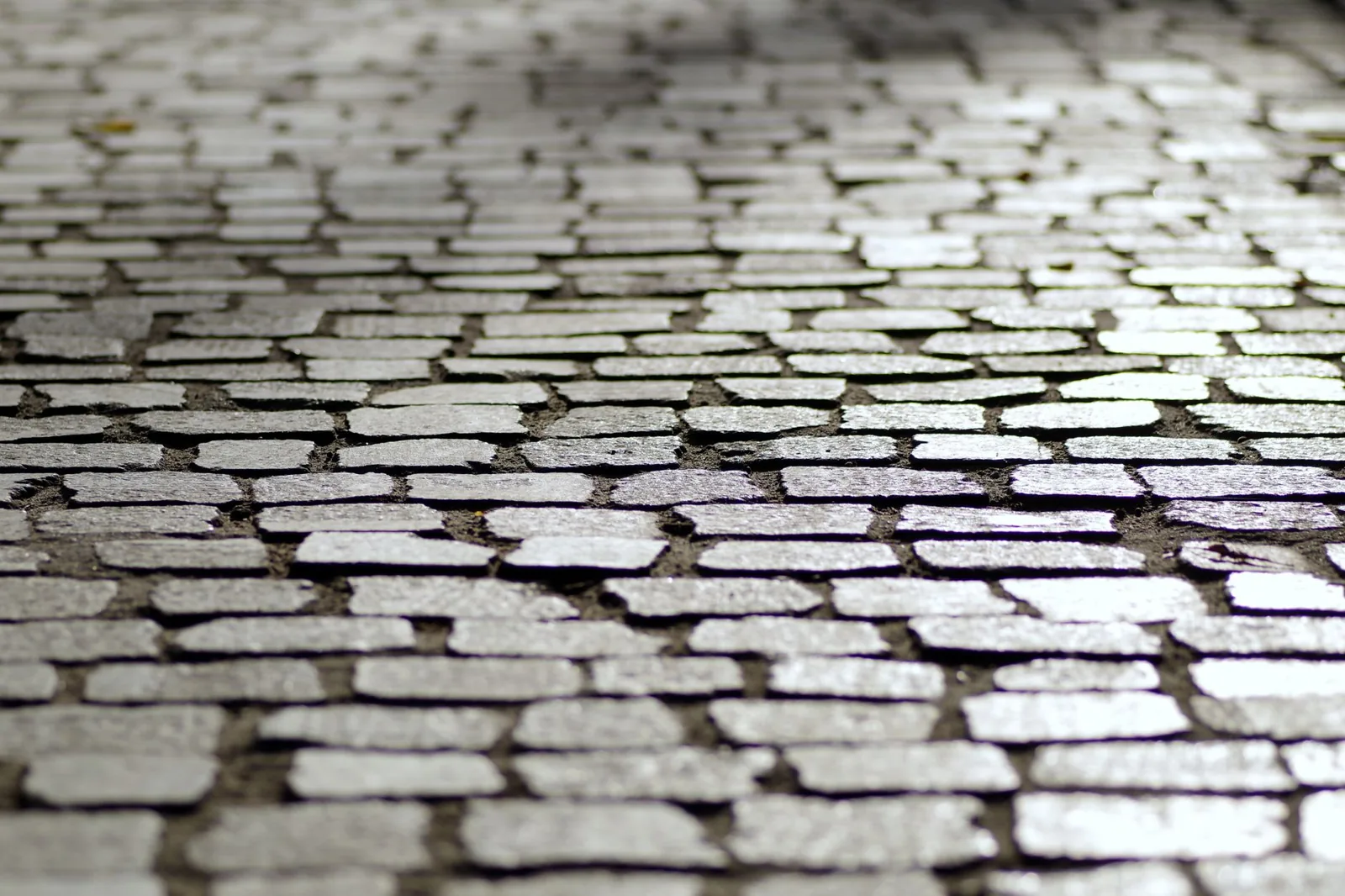 Close-up of a cobblestone pavement showing the interlocking pattern and texture