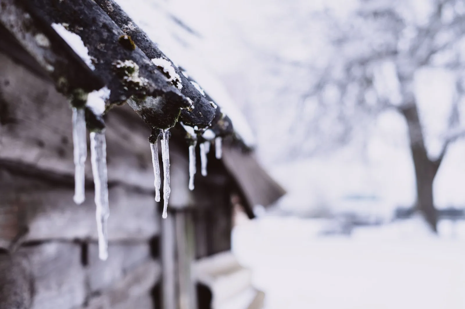 A close-up of icicles on a wooden roof in a snowy winter setting, outdoors.