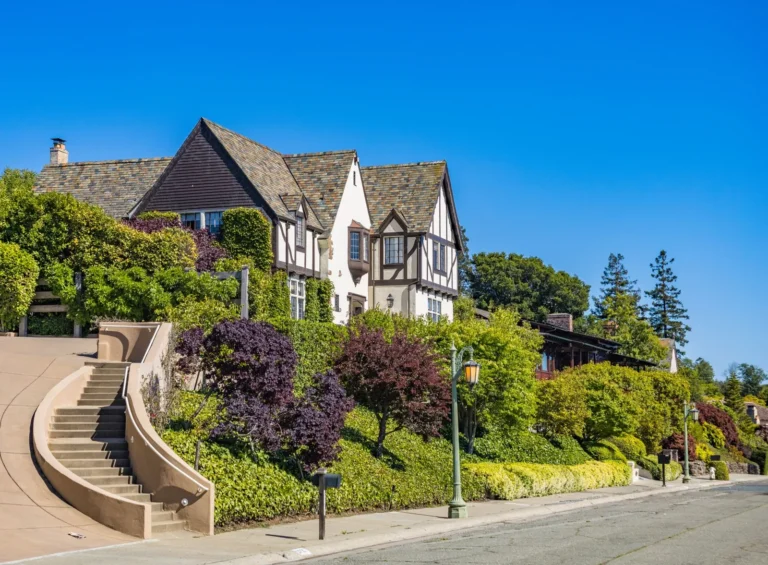 Best Curb Appeal Plants and Bushes for a Welcoming Front Yard
